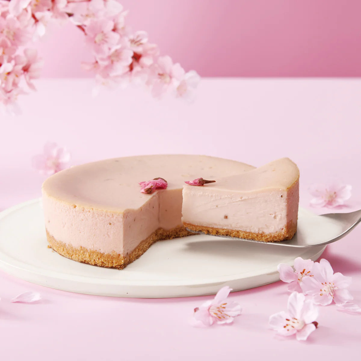 桜チーズケーキ